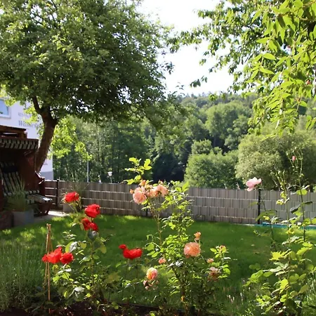 Pension-ferienwohnung Liesbachtal Direkt Am Waldrand Bayerische Rhoen Pensión Schönau an der Brend