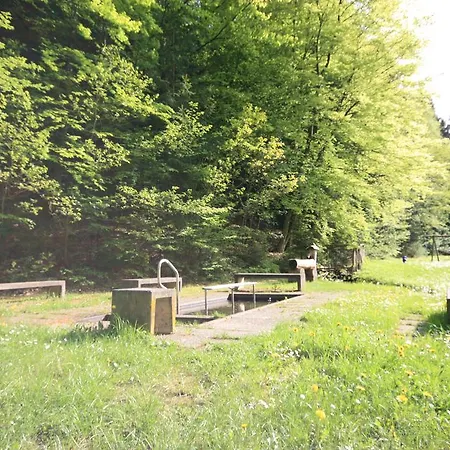 Pensión Pension-ferienwohnung Liesbachtal Direkt Am Waldrand Bayerische Rhoen